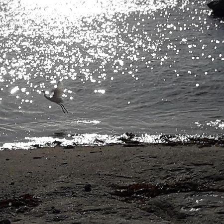 Appartement Proche De La Mer Guilvinec Kültér fotó